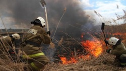Особый противопожарный режим начал действовать на территории Белгородской области