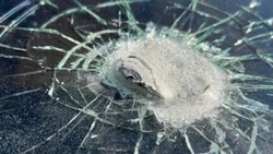 36 БПЛА ВСУ атаковали Шебекинский округ за минувшие сутки