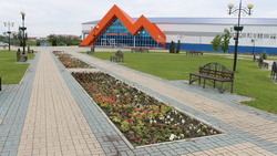 Новые клумбы появились в районе шебекинской «Ледовой арены»