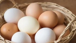 Андрей Гриднев опубликовал список цен на социально востребованные продукты