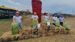 Белгородский фермер занял второе место на Всероссийском конкурсе «Агробатл»