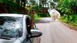 Региональное управление Экоохотнадзора – об ужесточении наказания за выброс мусора из машины