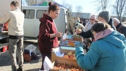 Шебекинцы побывали на 33 продовольственных ярмарках