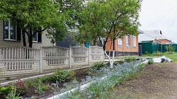 Компенсация аренды жилья для шебекинцев будет продлена