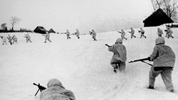 В холодном феврале 1943-го. Город Шебекино был очищен от врага