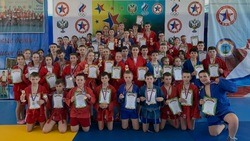 Чемпионат Белгородской области по самбо прошёл в Шебекино
