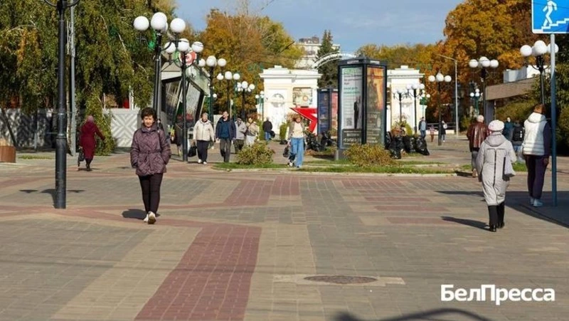 Белгородцы не поддались на провокации фейковыми «постановлениями»