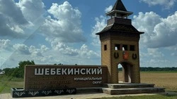 Юные шебекинцы смогут получить именные стипендии и премии
