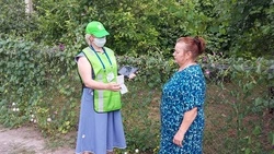 Сельскохозяйственная микроперепись стартовала в Шебекинском городском округе