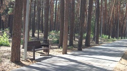 Власти Шебекино установили новые урны и скамейки в парке после жалобы местной жительницы
