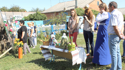 Лучшие ТОСы выберут в Шебекинском городском округе