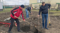 Работники Завода Премиксов №1 заложили «Сад Памяти» в Шебекино