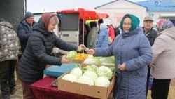 Сельскохозяйственная  ярмарка порадовала шебекинцев
