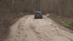 Жители села Карнауховка обратятся к Вячеславу Гладкову с просьбой строительства дороги