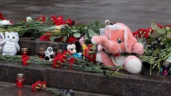 Россияне отправили 17 млн рублей на помощь пострадавшим при обстрелах Белгорода