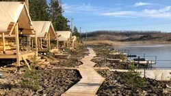 Минувший год дал старт новым фермерским хозяйствам в Шебекинском городском округе