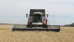 Шебекинское сельхозпредприятие АО «Восход» приступило к сбору озимой пшеницы