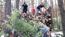Шебекинцы благоустроят зону отдыха общими усилиями