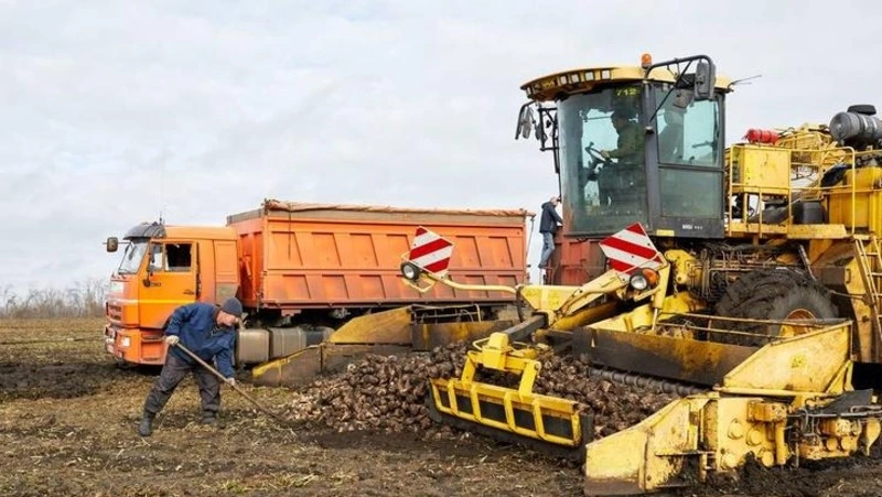 Вячеслав Гладков – об итогах уборочной кампании в Белгородской области 