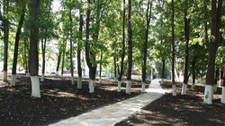 Большетроицкий парк в Шебекинском горокруге приобрёл новый облик