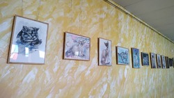 Новая выставка картин открылась в Шебекинском Центре культурного развития