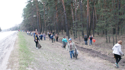 Добровольцы навели порядок вдоль трассы Шебекино-Белгород