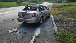 40 БПЛА ВСУ атаковали Шебекинский округ за сутки