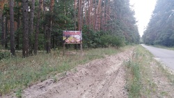 Специалисты Шебекинского лесничества провели рейды в рамках акции «Останови огонь»