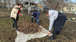 Большой субботник прошёл в Шебекинском округе