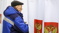 Международные наблюдатели отметили высокую организацию выборов президента в Белгородской области