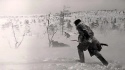 В холодном феврале 1943-го. Советские войска освободили город Шебекино от фашистских захватчиков