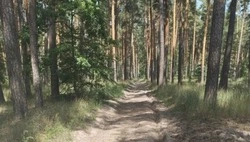 Комплексная работа по обеспечению пожарной безопасности продолжается в Шебекинском округе