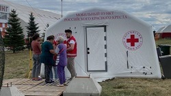 Специалисты белгородского Красного Креста оказали помощь свыше 800 прибывшим жителям ЛДНР и Украины 