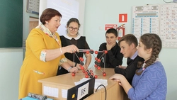 Учитель химии Елена Юрченко: «Нужно с душой относиться к своей работе»