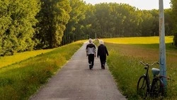Медики дали рекомендации пожилым шебекинцам