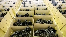 Вячеслав Гладков рассказал об отправке очередной партии гуманитарного груза в зону СВО 