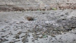 ВСУ продолжили наносить удары по городу Шебекино