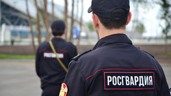 Сотрудники Росгвардии задержали нетрезвого водителя в Шебекино