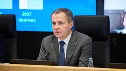 Вячеслав Гладков обсудил приоритеты бюджета Белгородской области на следующие три года