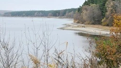 Вячеслав Гладков назвал стабильной ситуацию с Белгородским водохранилищем