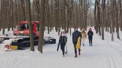 Белгородские власти приняли решение перенести «Лыжню России» из-за недостаточного слоя снега 