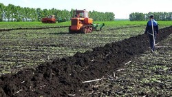 Вячеслав Гладков: посевная кампания стартовала в Белгородской области 