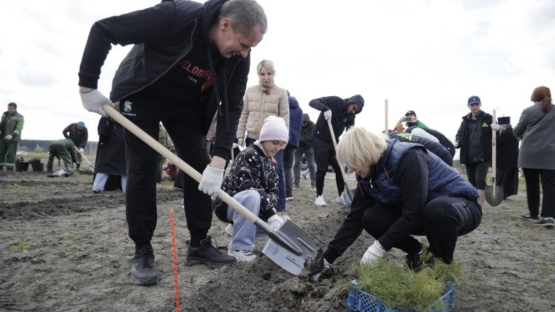 Вячеслав Гладков поучаствовал в высадке деревьев в рамках акции «Сад памяти»