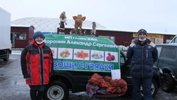 Предновогодняя ярмарка прошла в Шебекино