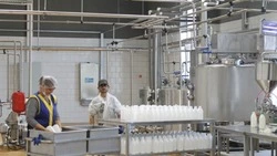 Когда вкладывают в дело душу. Шебекинец Гурген Саргсян открыл новый молокозавод