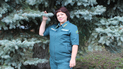 Елена Богданова добилась успехов в сохранении и преумножении лесных богатств