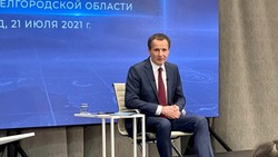 Вячеслав Гладков рассказал об обновлённой Стратегии развития региона до 2030 года