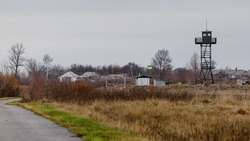 Вячеслав Гладков сообщил о готовности Белгородской области принять мирных жителей с Украины