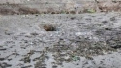 Город Шебекино попал под обстрел ВСУ