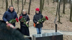 Вячеслав Гладков возложил цветы к могиле безымянного советского лётчика